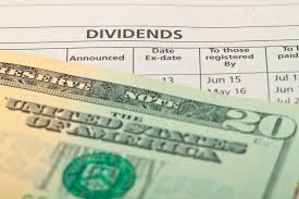 A Dividend Index Fund for the Long-term?