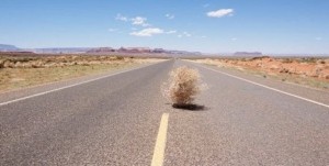 Tumbleweed at 11 Wall Street?